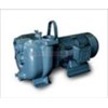 bom ly tam varisco j4-316 (50hz-16m) hinh 1